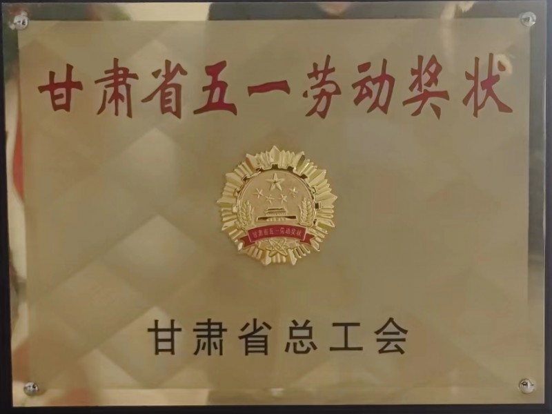 我司阿拉善左旗機場項目開啟“加速鍵”，全力沖刺建設新里程